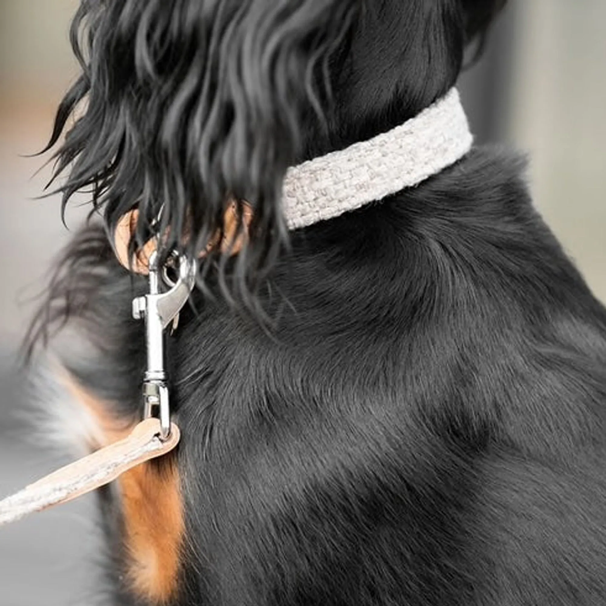 Herdwick Collar