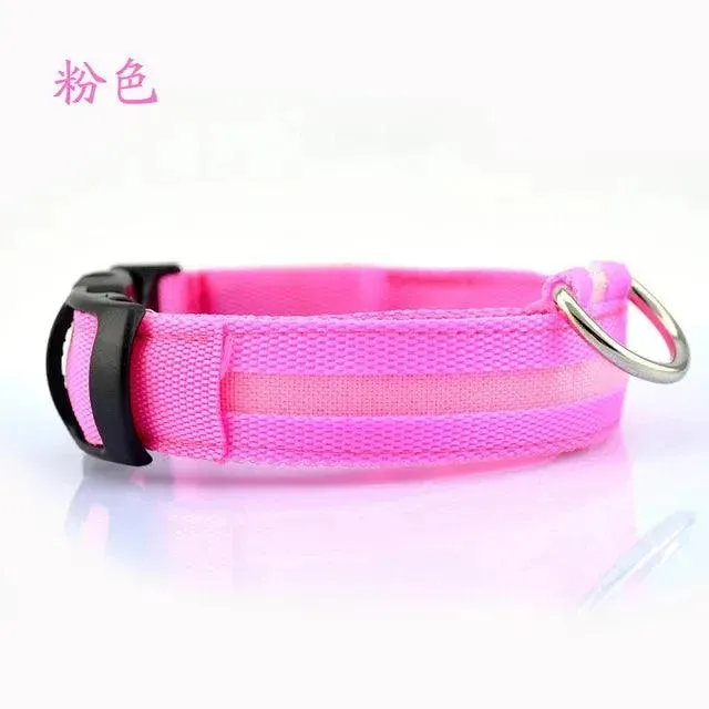 LED Pet Dog Collar - Night Safety Flashing Glow Collar