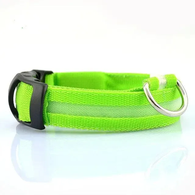 LED Pet Dog Collar - Night Safety Flashing Glow Collar