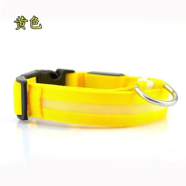 LED Pet Dog Collar - Night Safety Flashing Glow Collar