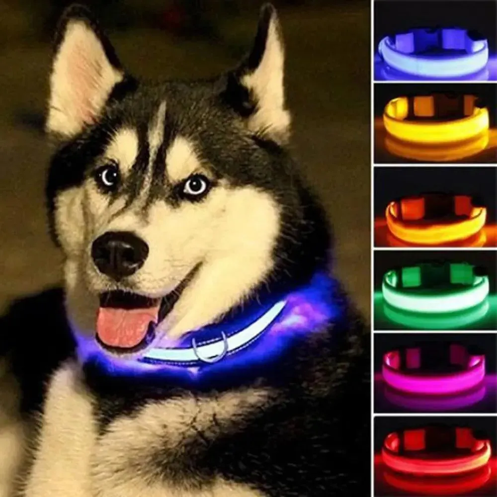 LED Pet Dog Collar - Night Safety Flashing Glow Collar