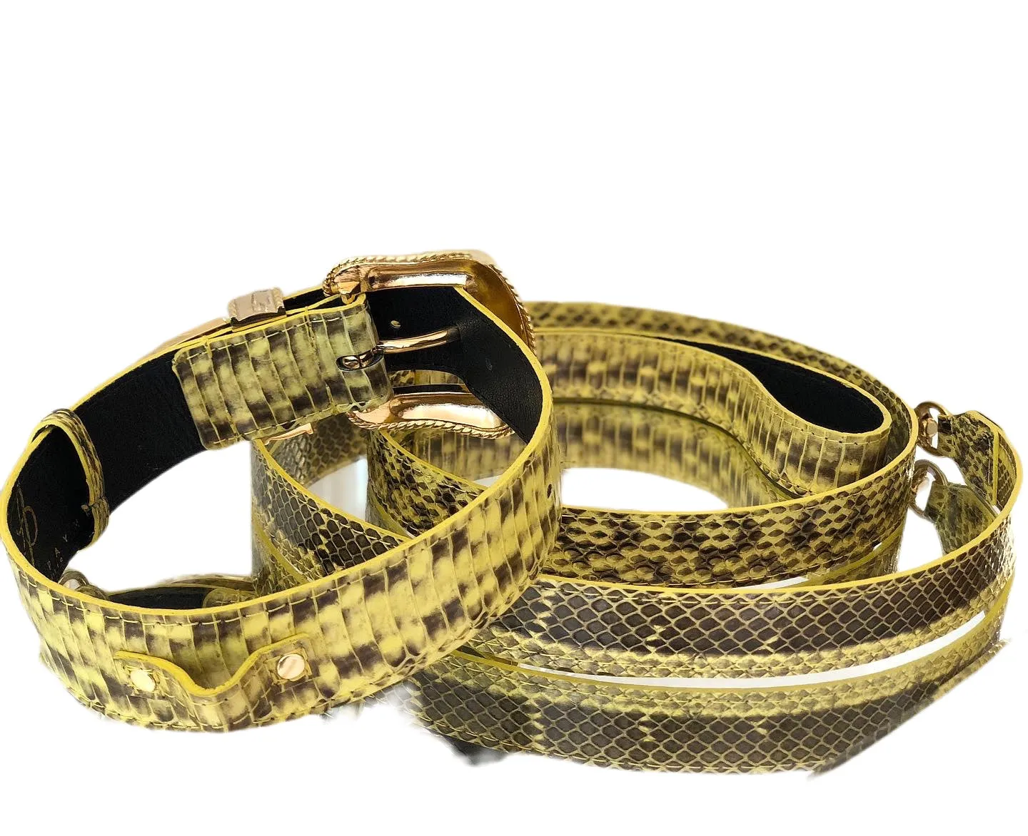 Luxury Pet Fashion Soft Yellow & Black Snakeskin Collar & Leash Set With Our Swarovski Crystal Hardware.