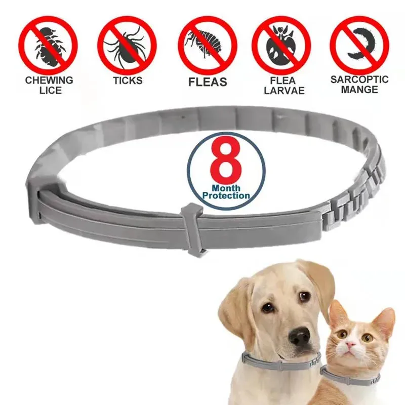 New Releases Cat Collar,Dog Anti-flea and Tick Collars, Pet 8 Month Protection, Can Be Automatically Adjusted, Dogs Accessories