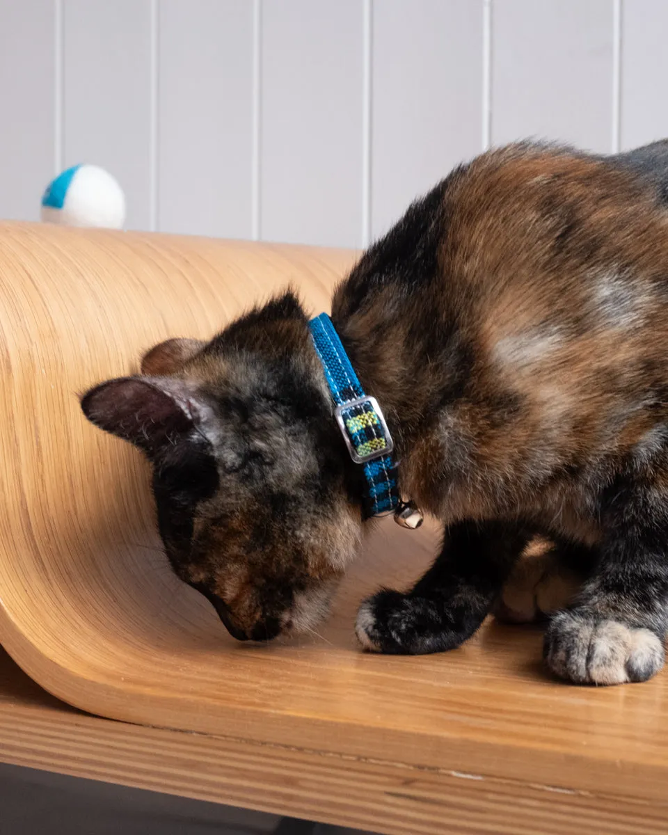 Shuka Blue Stretch Cat Collar